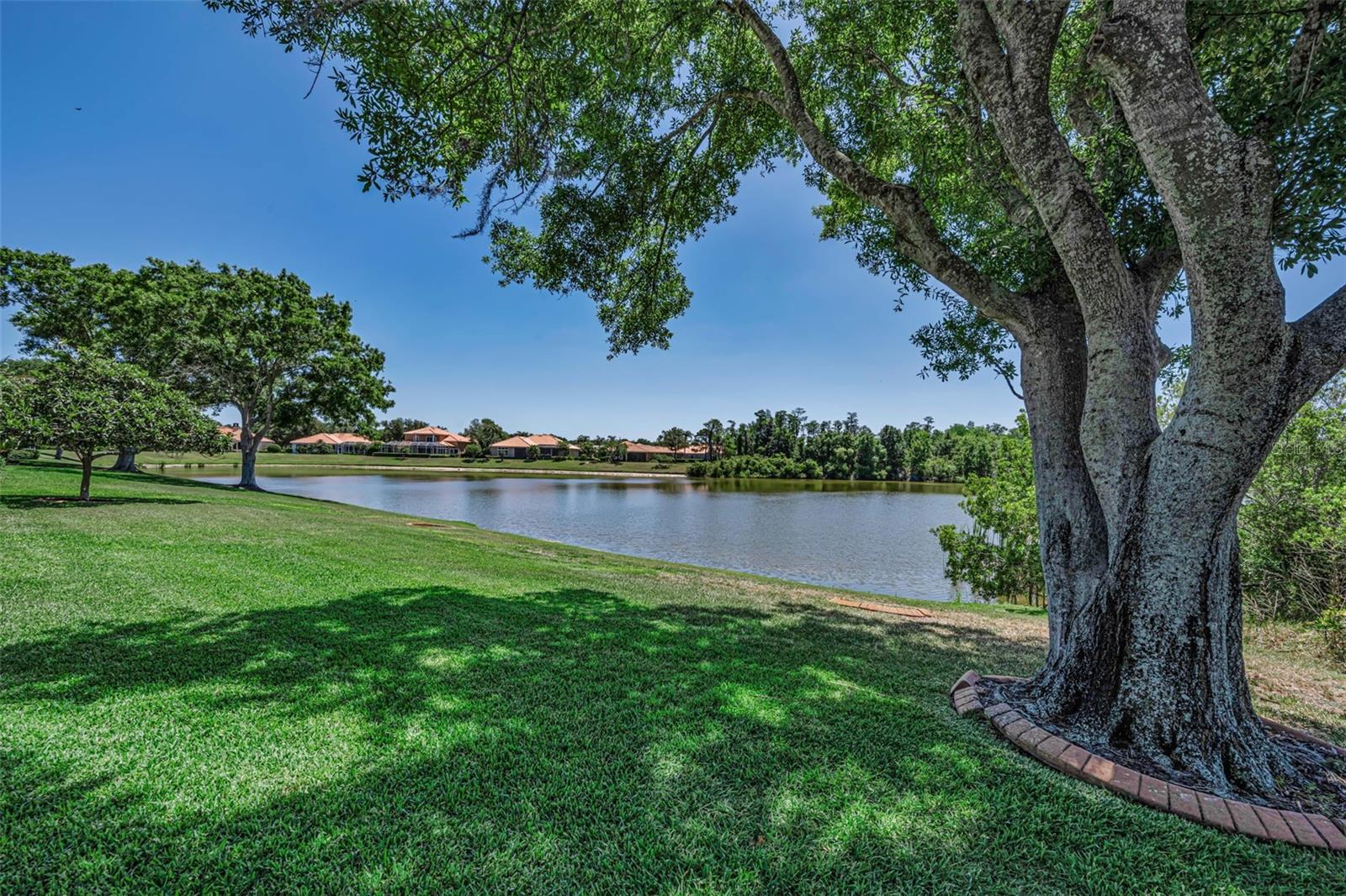 10706 Ruffino Ct Property Photo 73