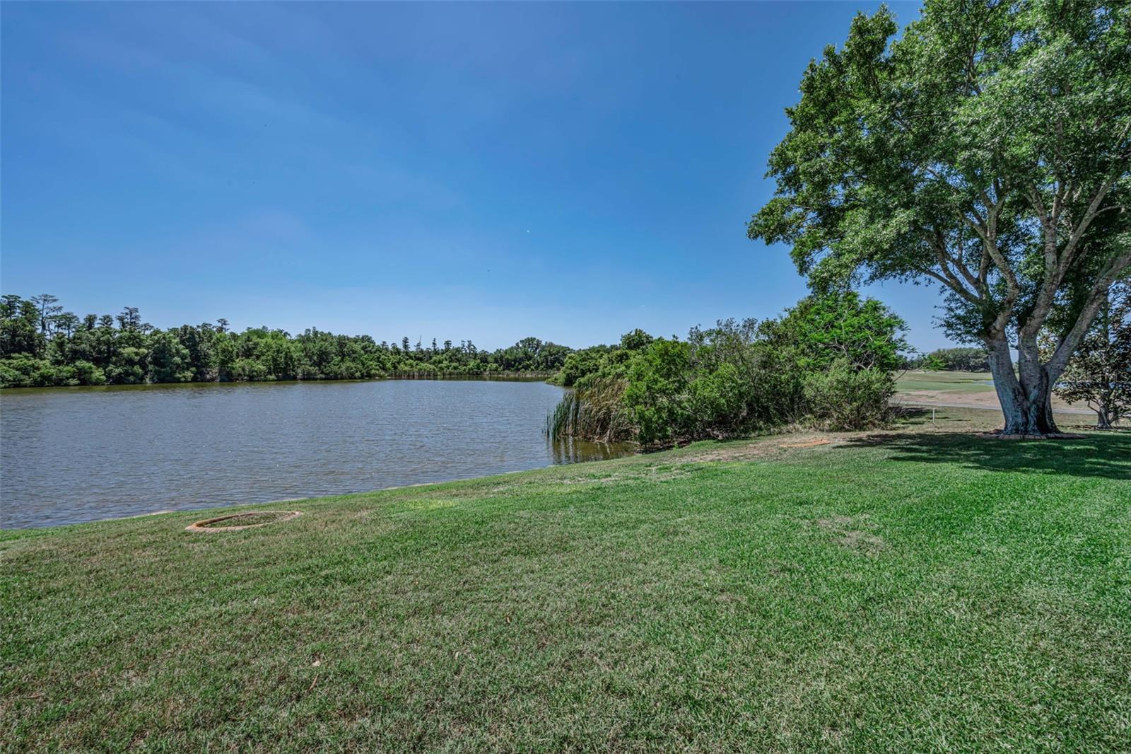 10706 Ruffino Ct Property Photo 79