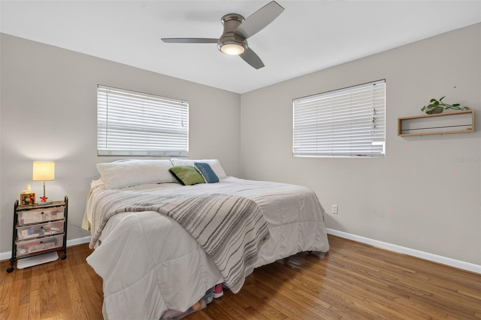 519 Norfolk St Property Photo 14