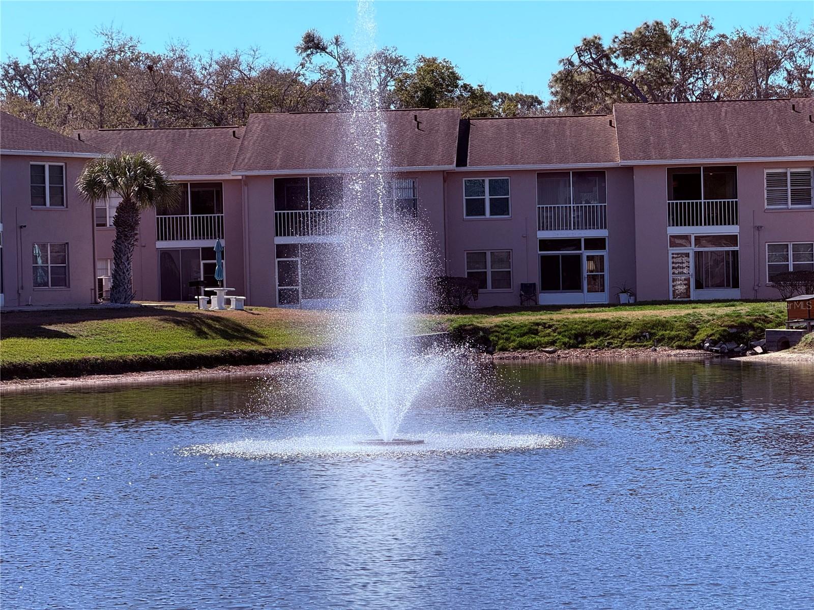 6519 Spring Flower Dr #22 Property Photo 1