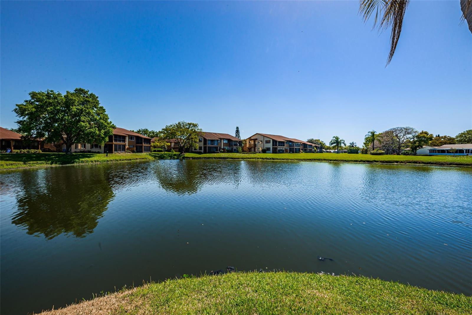 3815 Penrick Dr #0 Property Photo 48