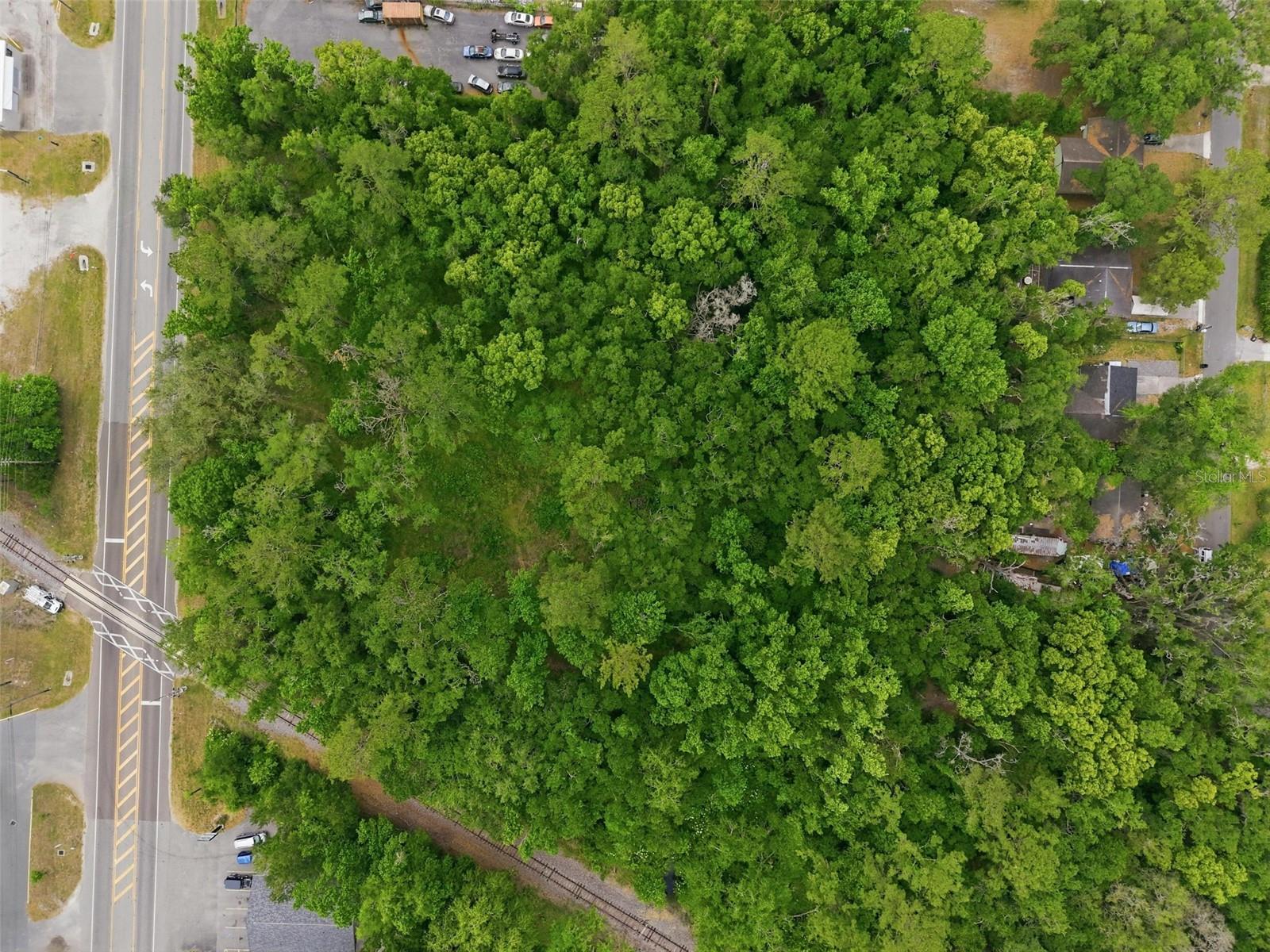 Ponce De Leon Blvd Property Photo 8