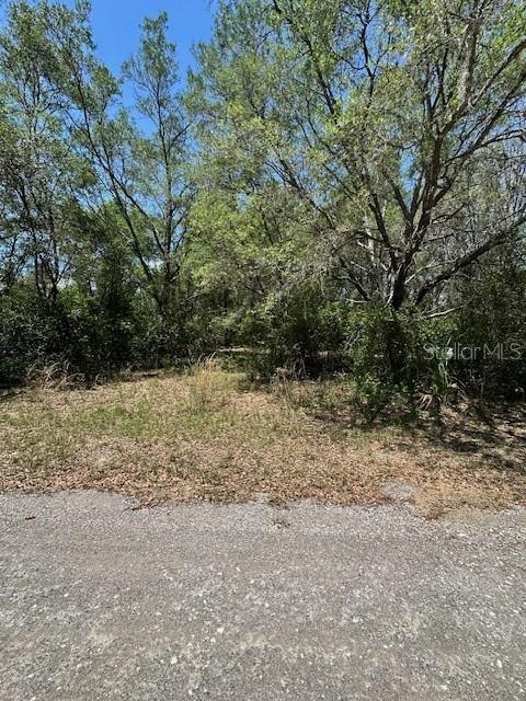 8681 N Catapane Loop Property Photo 1