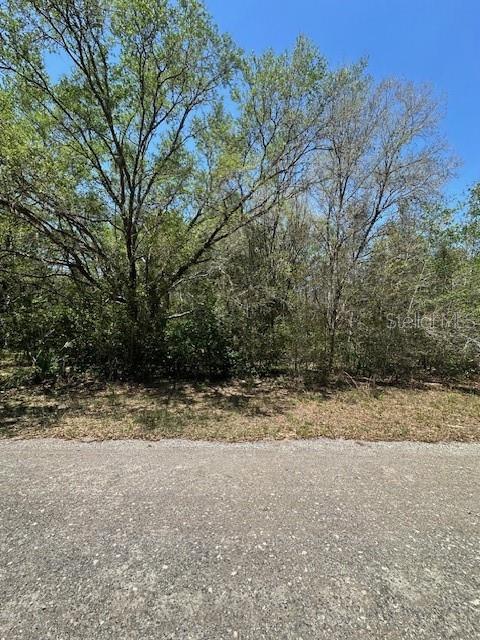 8681 N Catapane Loop Property Photo 2