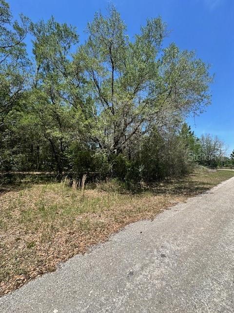 8681 N Catapane Loop Property Photo 3