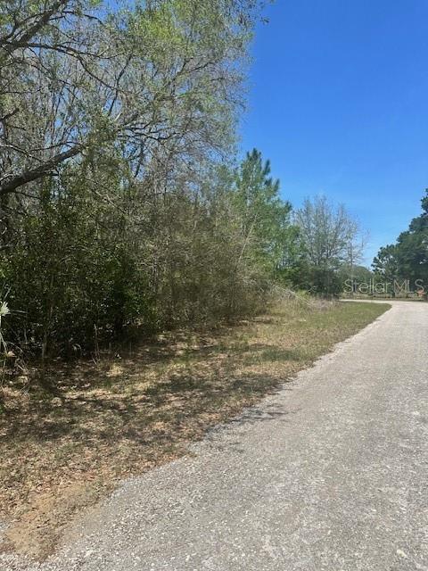 8681 N Catapane Loop Property Photo 5
