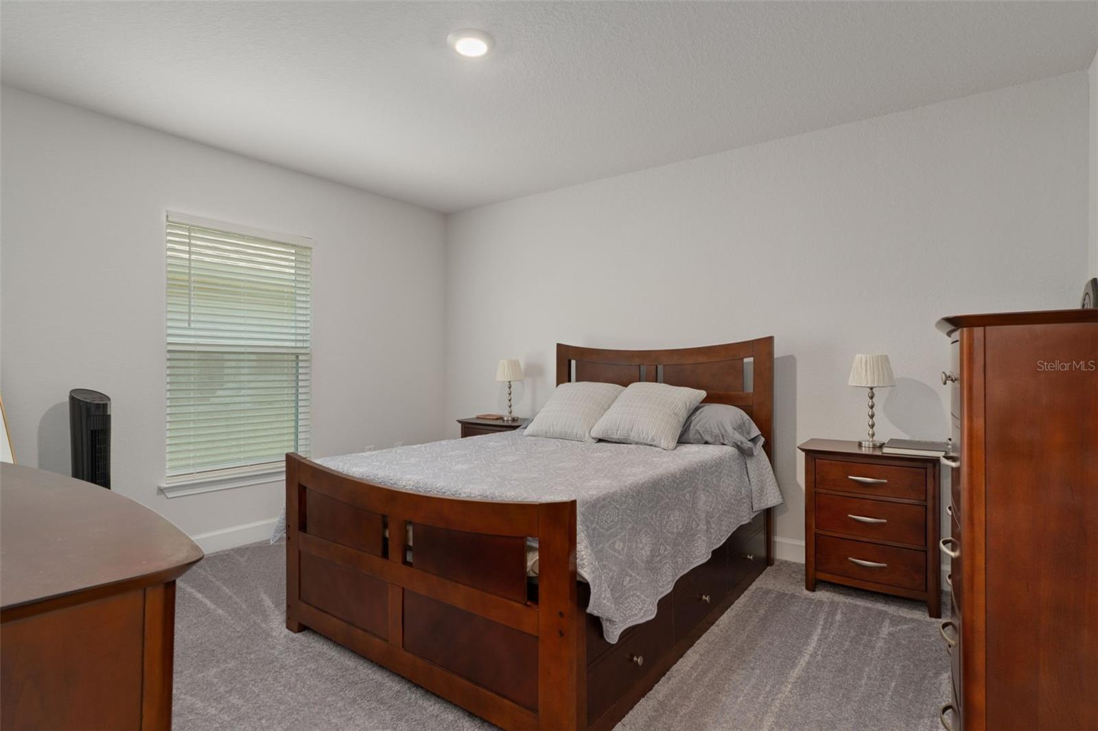12492 Pine Bluff St Property Photo 22