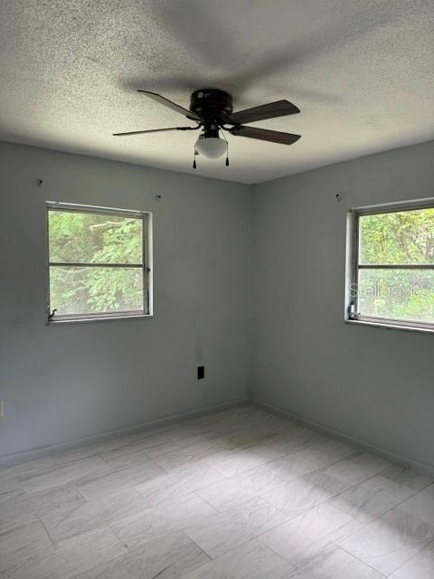 12 Spring Loop Property Photo 22