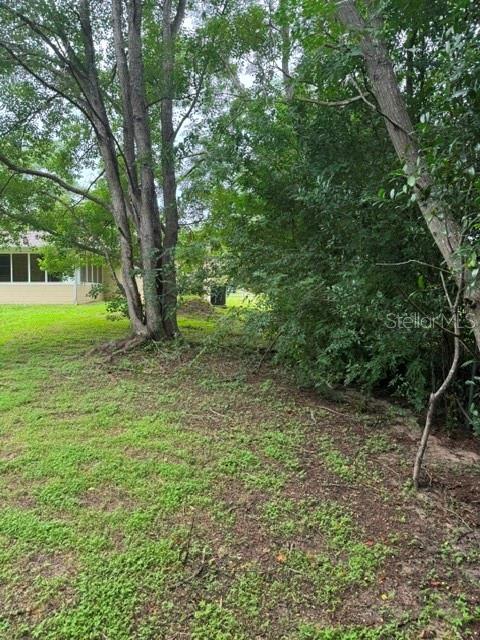 12 Spring Loop Property Photo 33