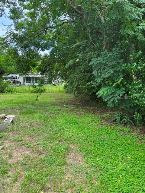 12 Spring Loop Property Photo 35
