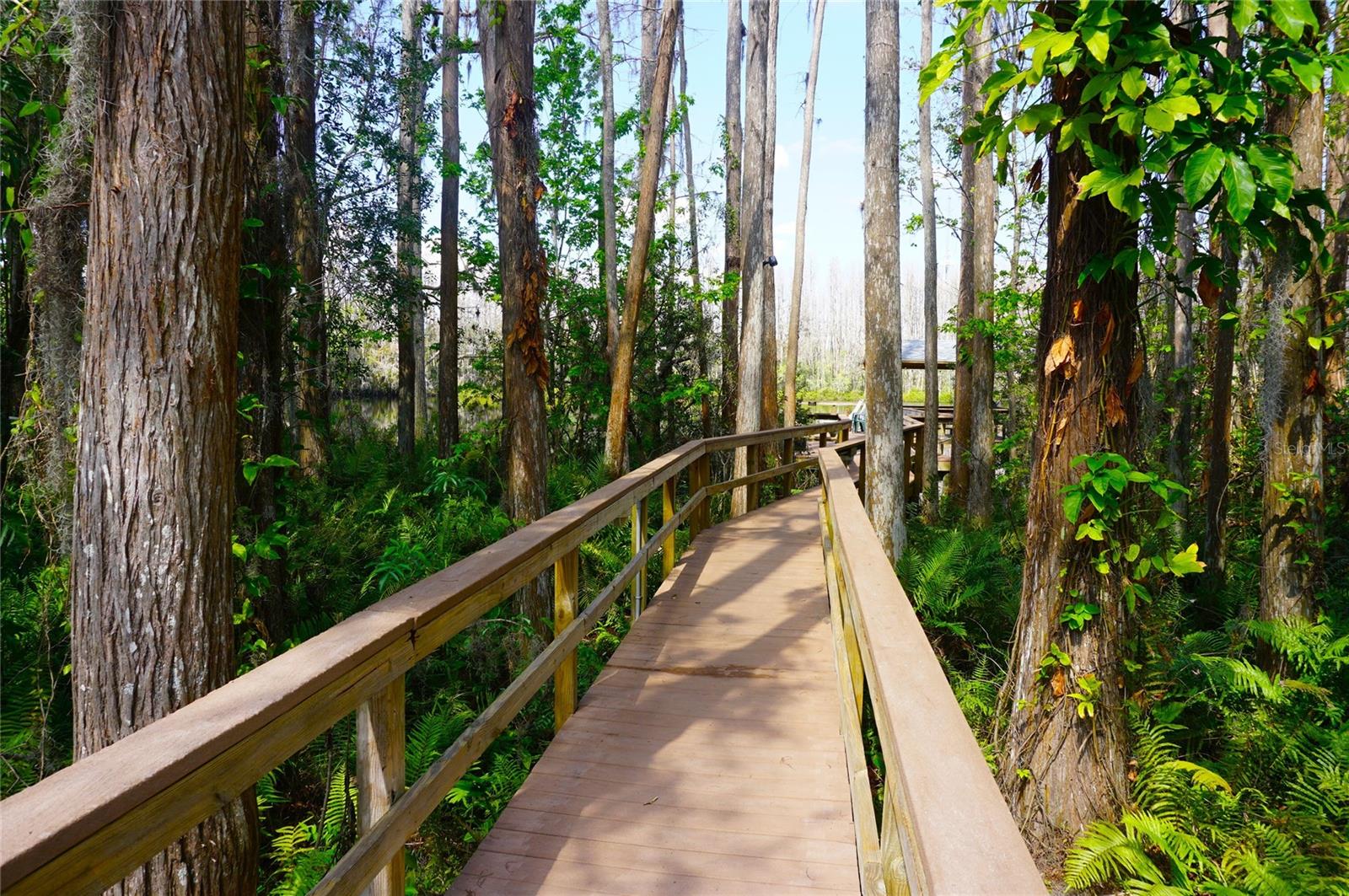 20853 Haulover Cv #a12 Property Photo 31