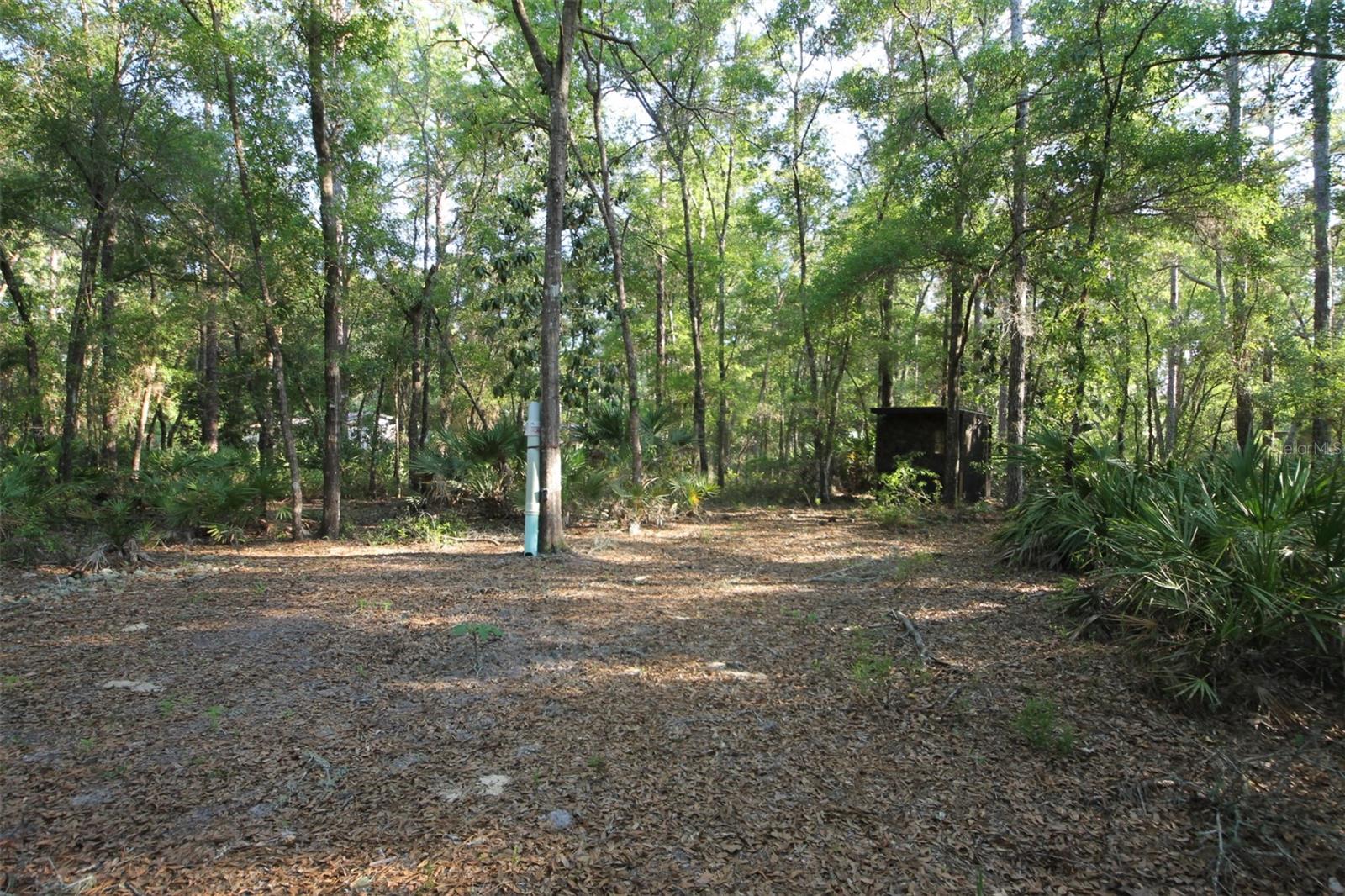 7982 W Mayfair Dr Property Photo 1