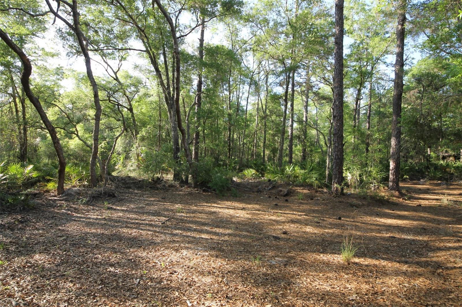 7982 W Mayfair Dr Property Photo 7