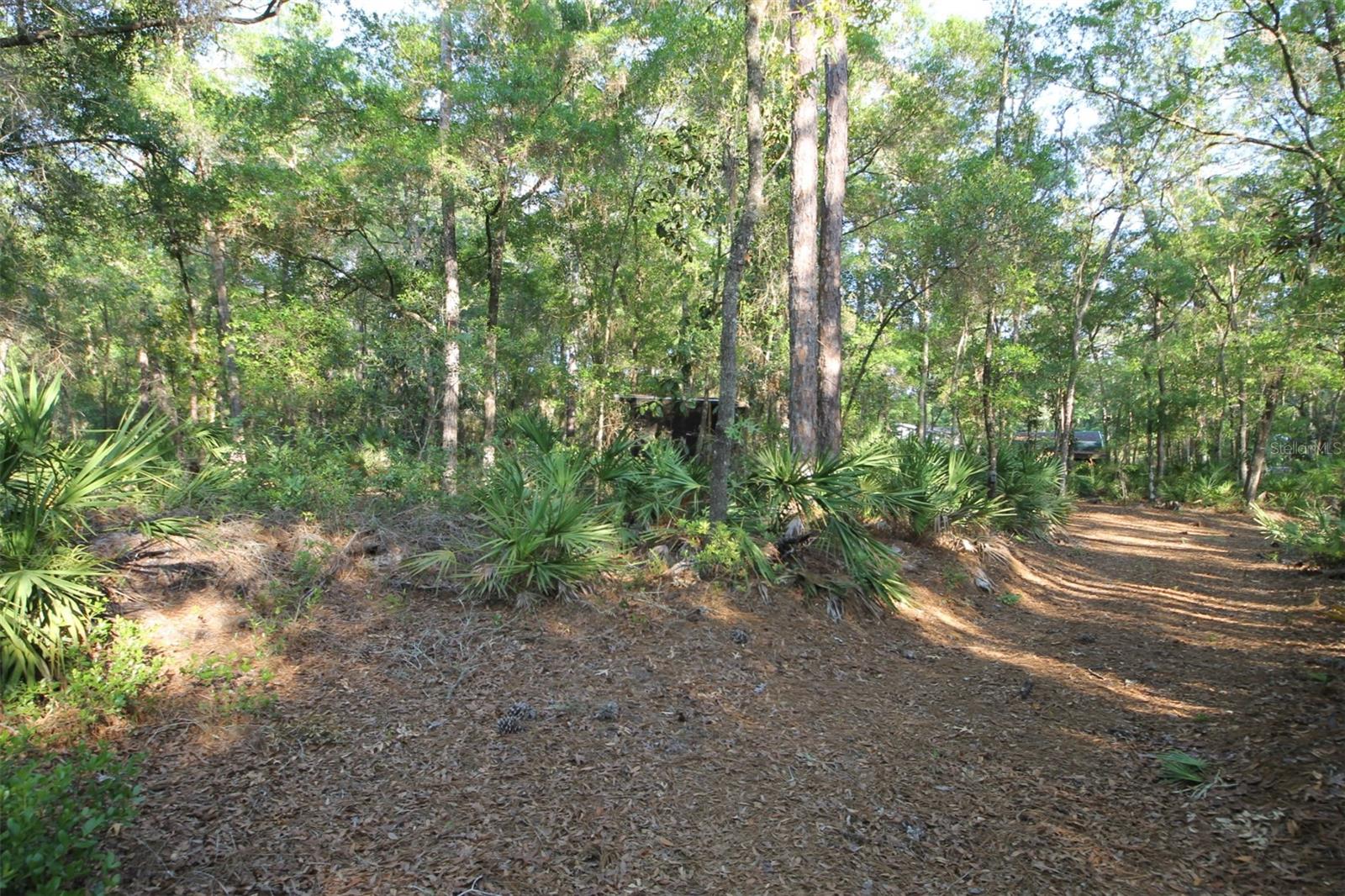 7982 W Mayfair Dr Property Photo 8