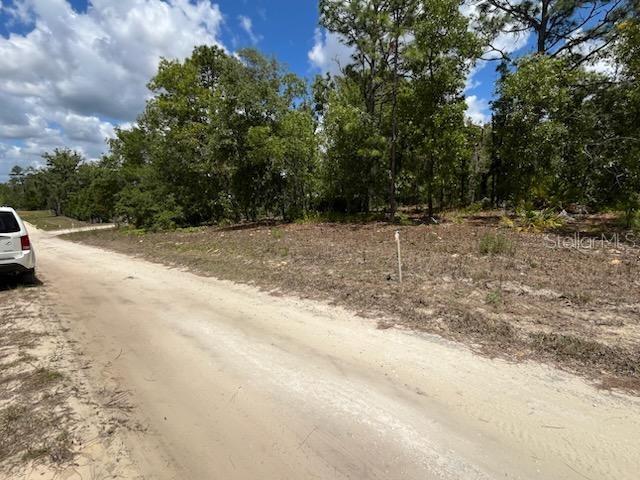 3726 W Spoon Wood Ct Property Photo 4