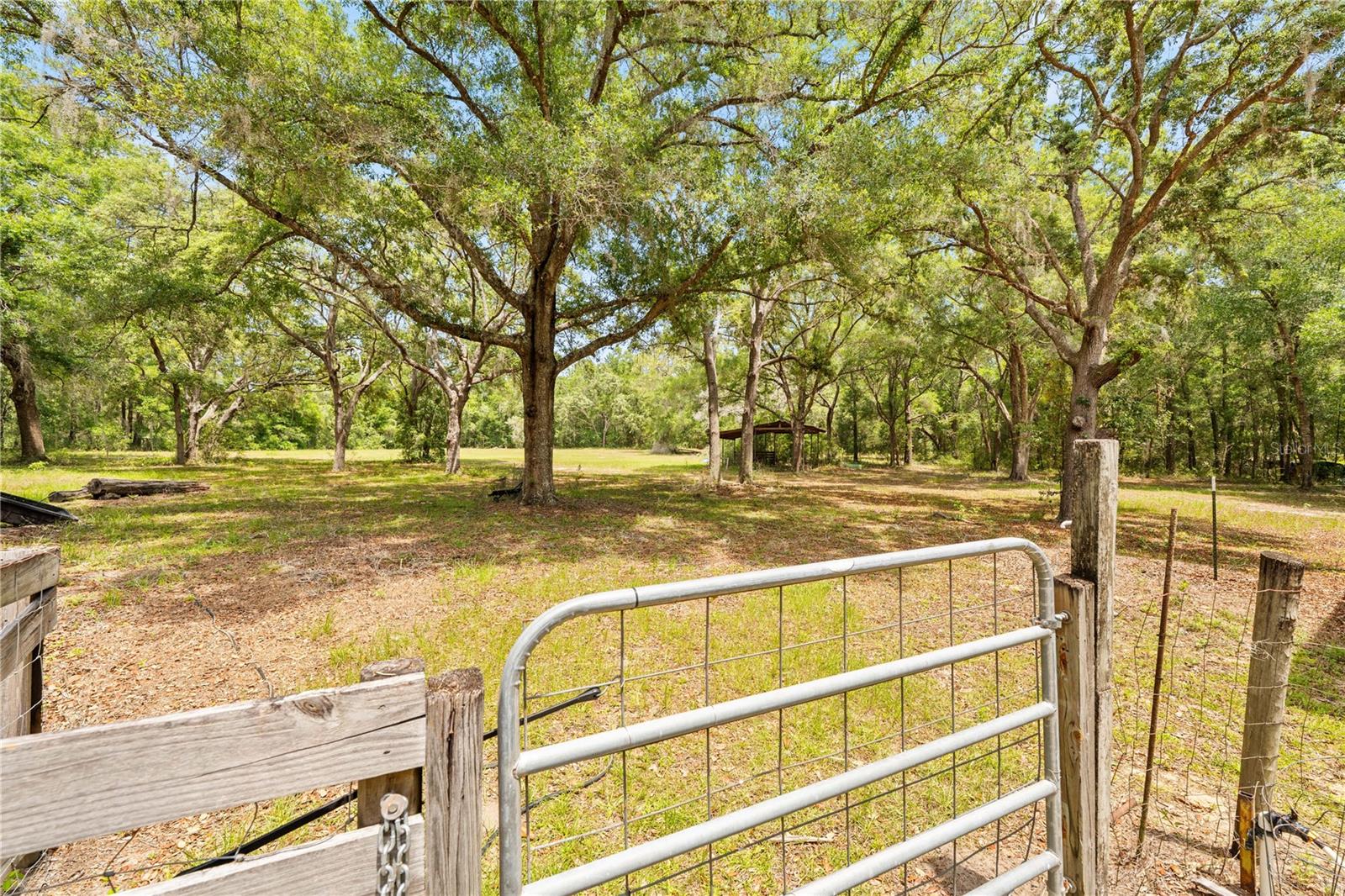 27137 Lambeth Rd Property Photo 59
