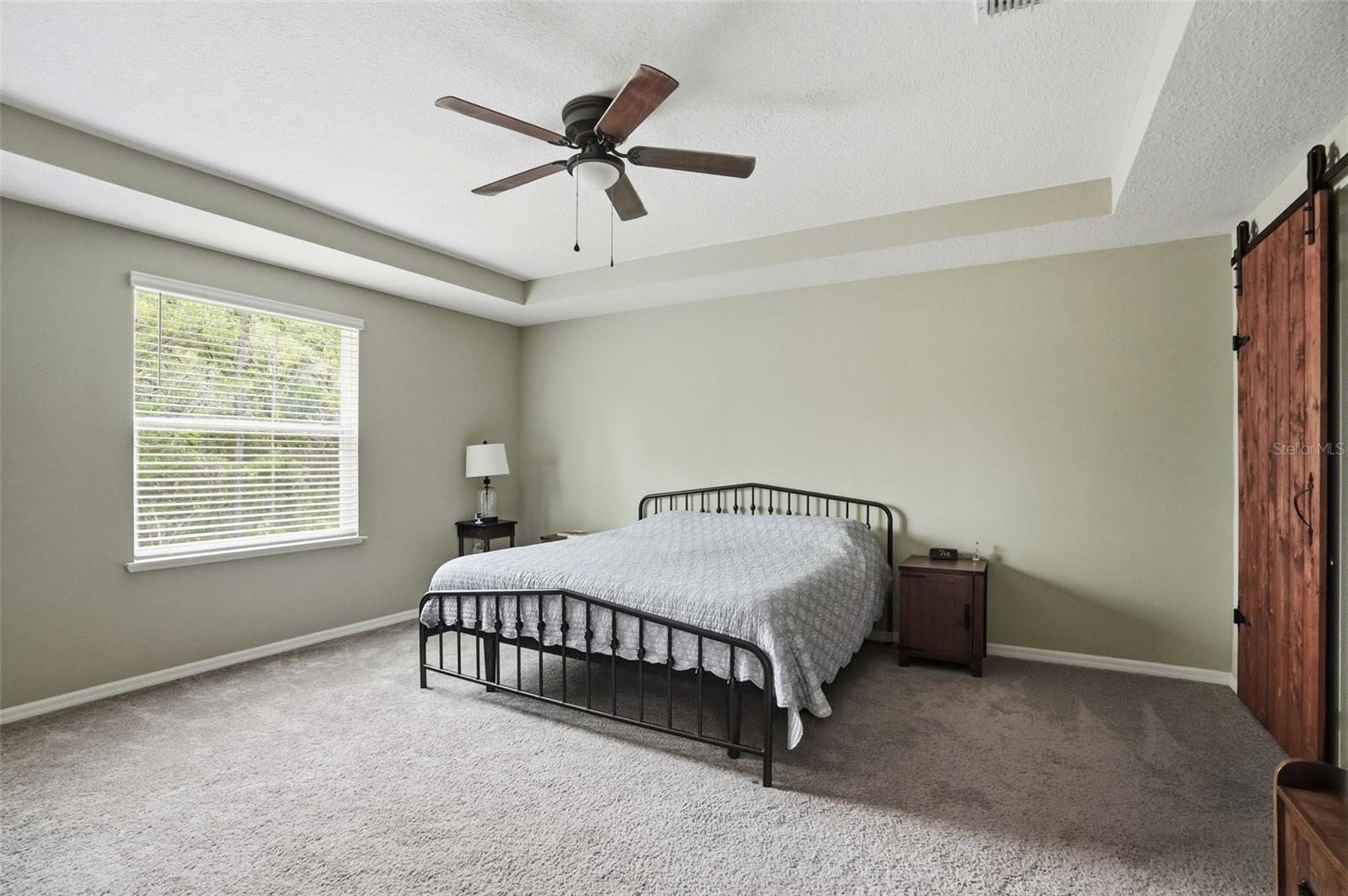 39 Milbark Dr Property Photo 25