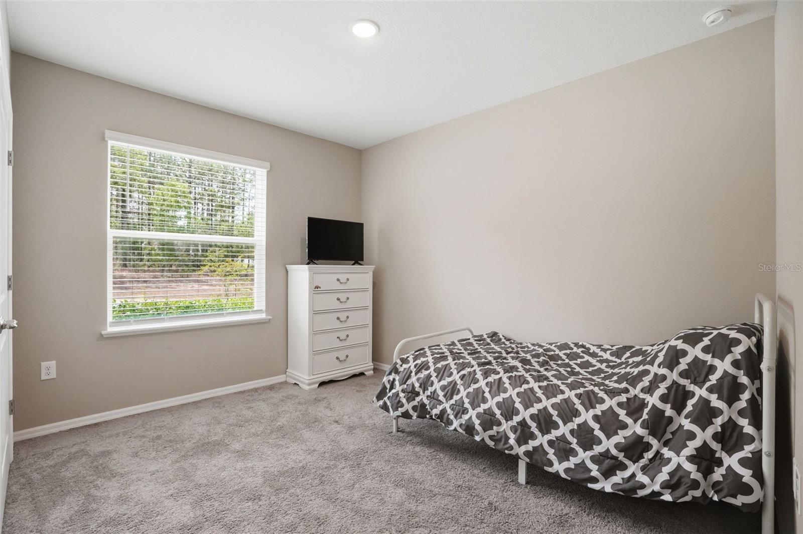 39 Milbark Dr Property Photo 43
