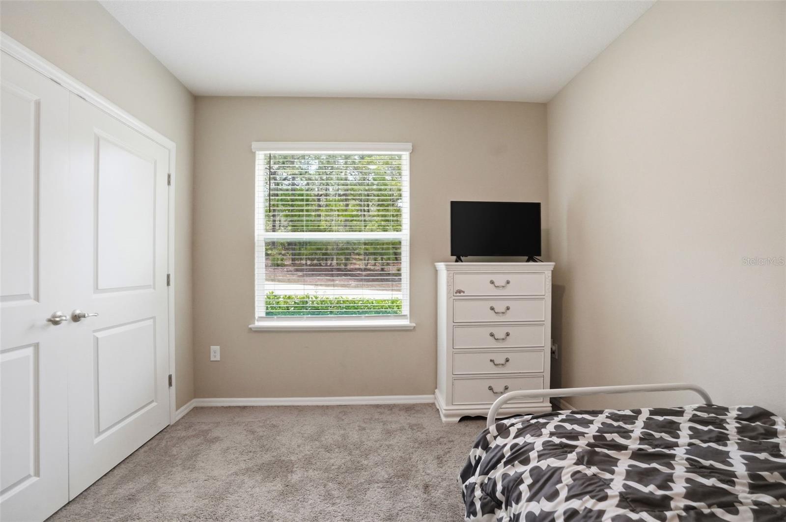 39 Milbark Dr Property Photo 44