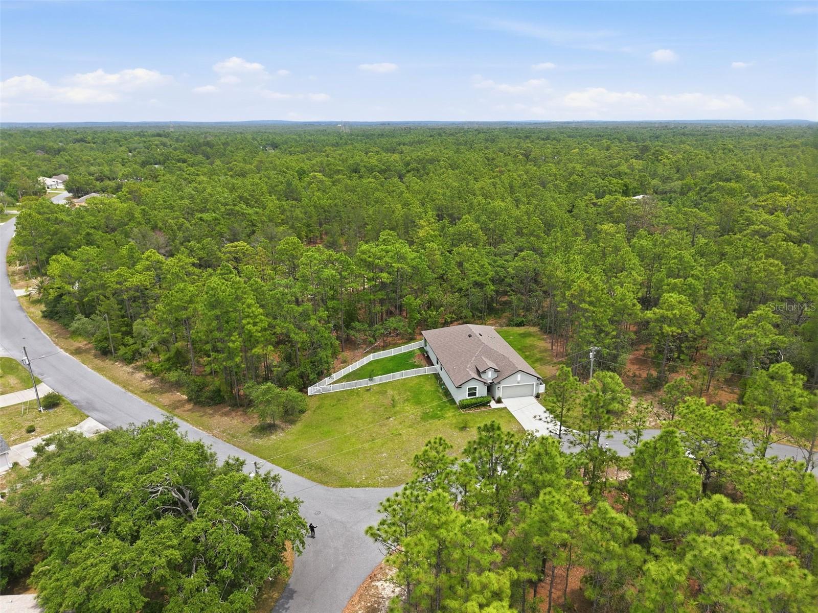39 Milbark Dr Property Photo 54