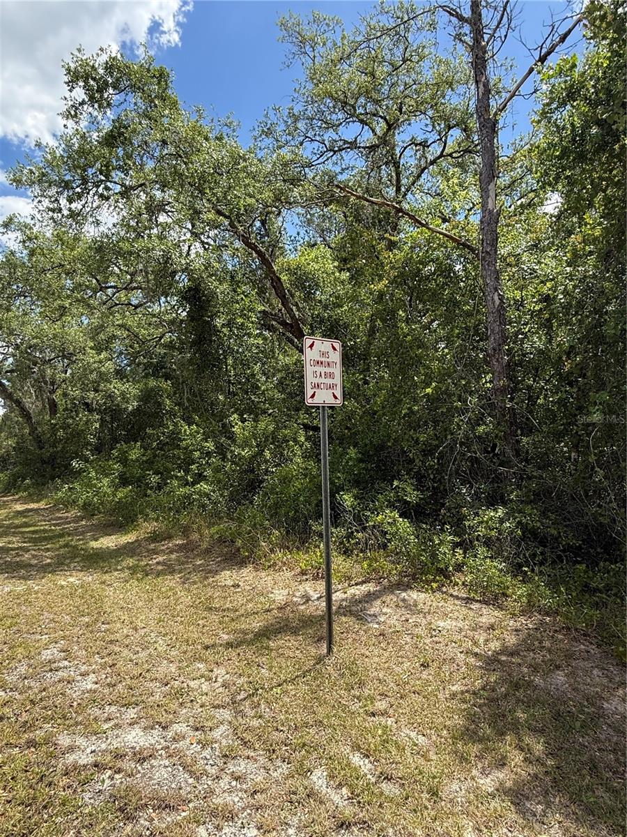 Lewis Ln Property Photo 7