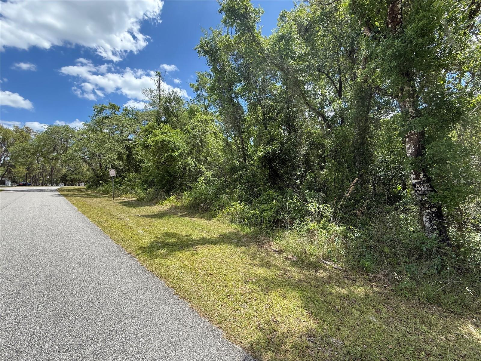 Lewis Ln Property Photo 11
