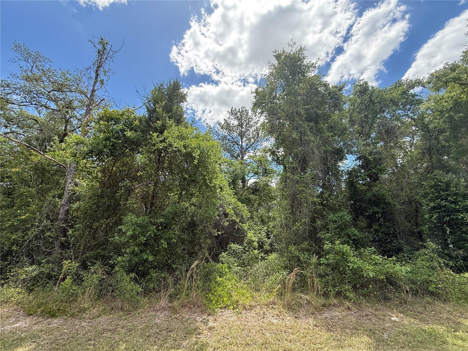 Lewis Ln Property Photo 12