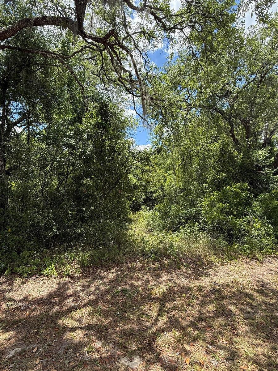 Lewis Ln Property Photo 13