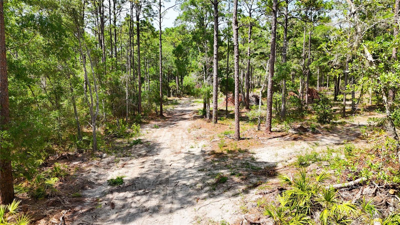 0 Windhaven Ln Property Photo 6