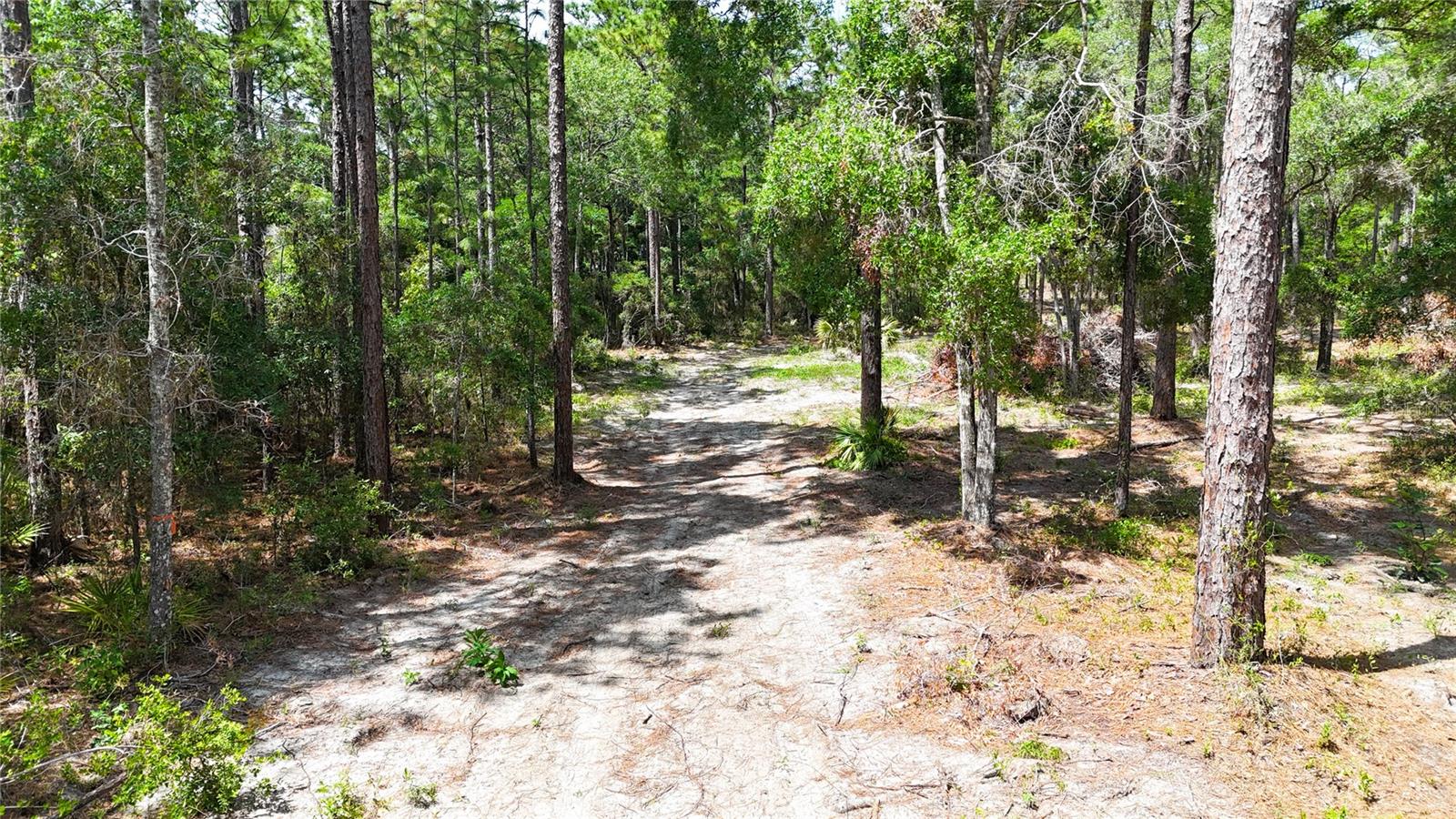 0 Windhaven Ln Property Photo 8