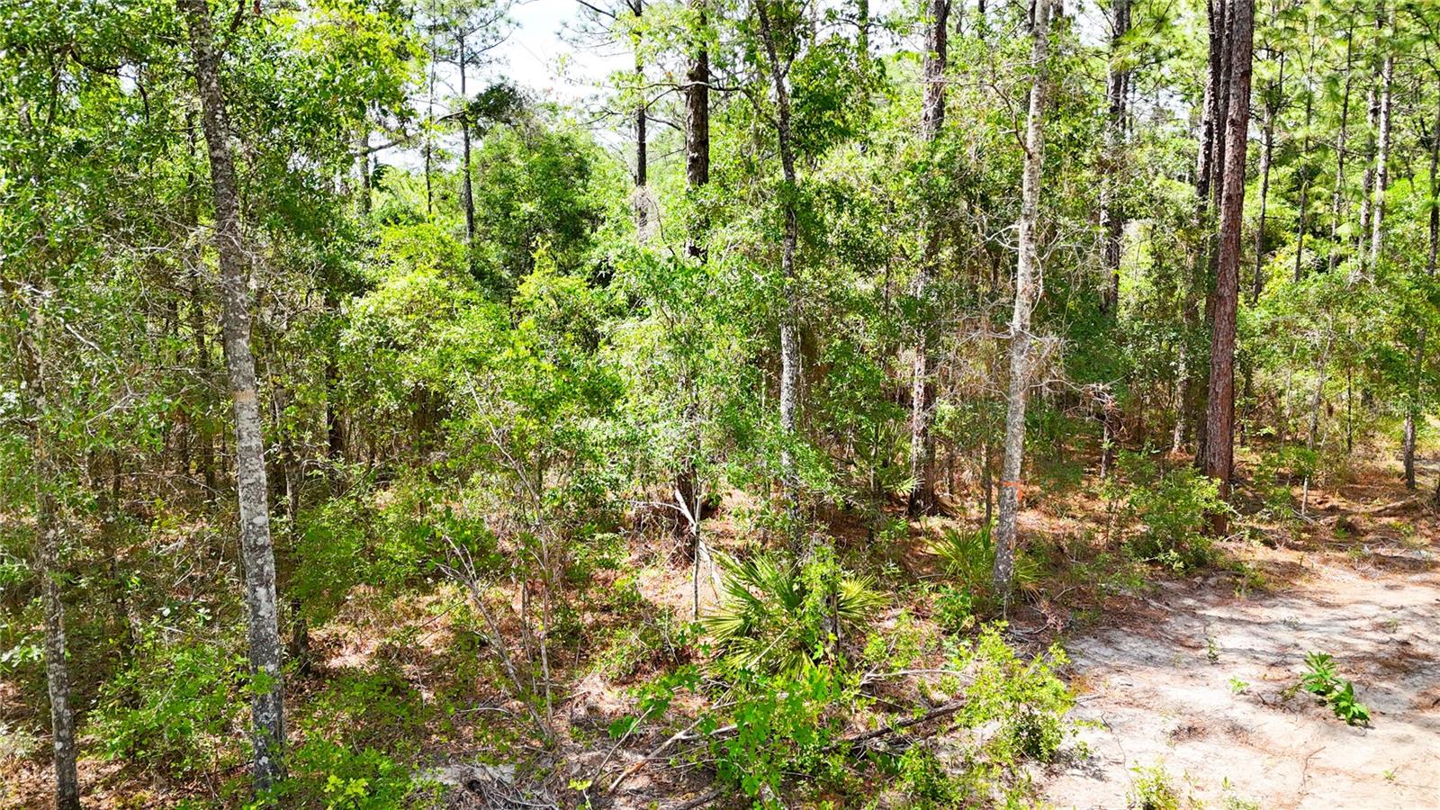 0 Windhaven Ln Property Photo 10