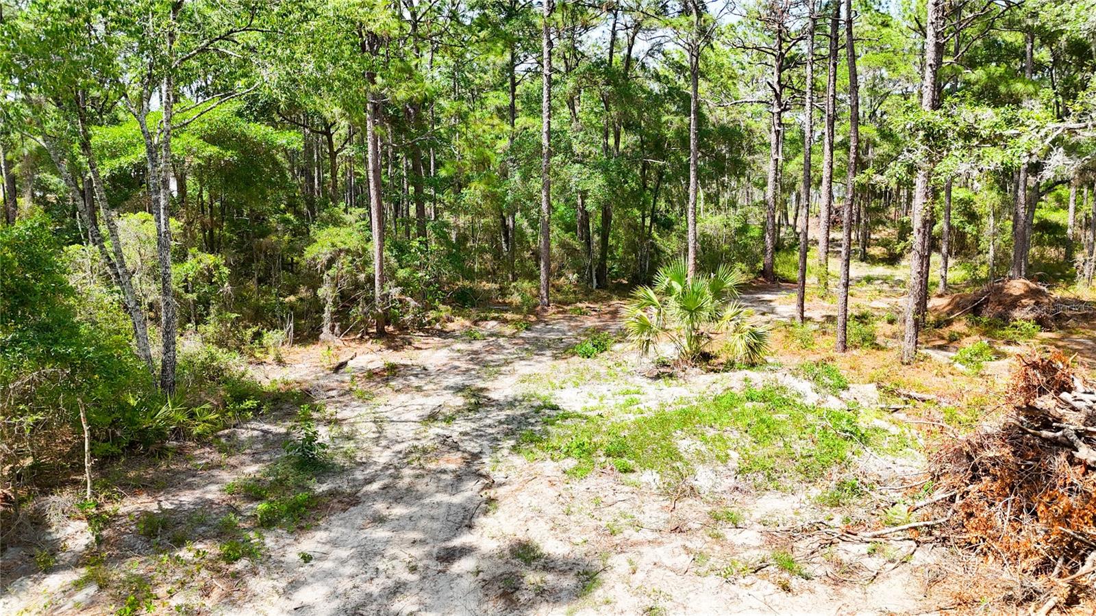 0 Windhaven Ln Property Photo 11