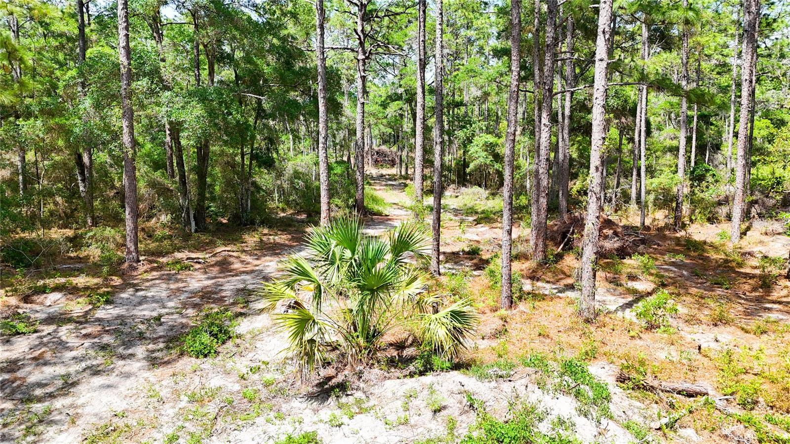0 Windhaven Ln Property Photo 12