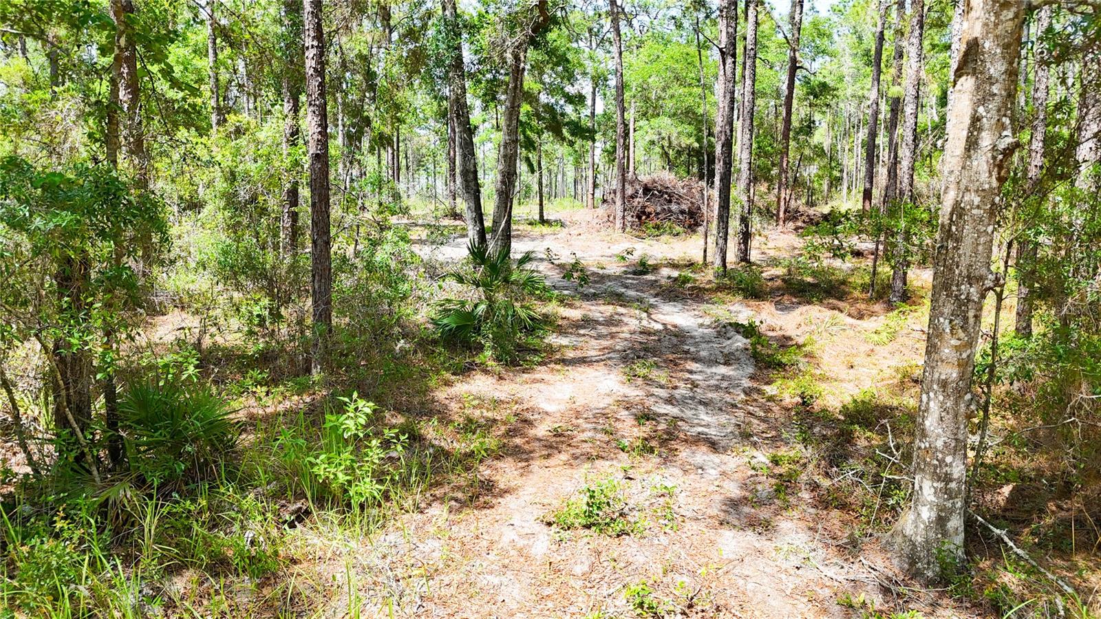 0 Windhaven Ln Property Photo 15