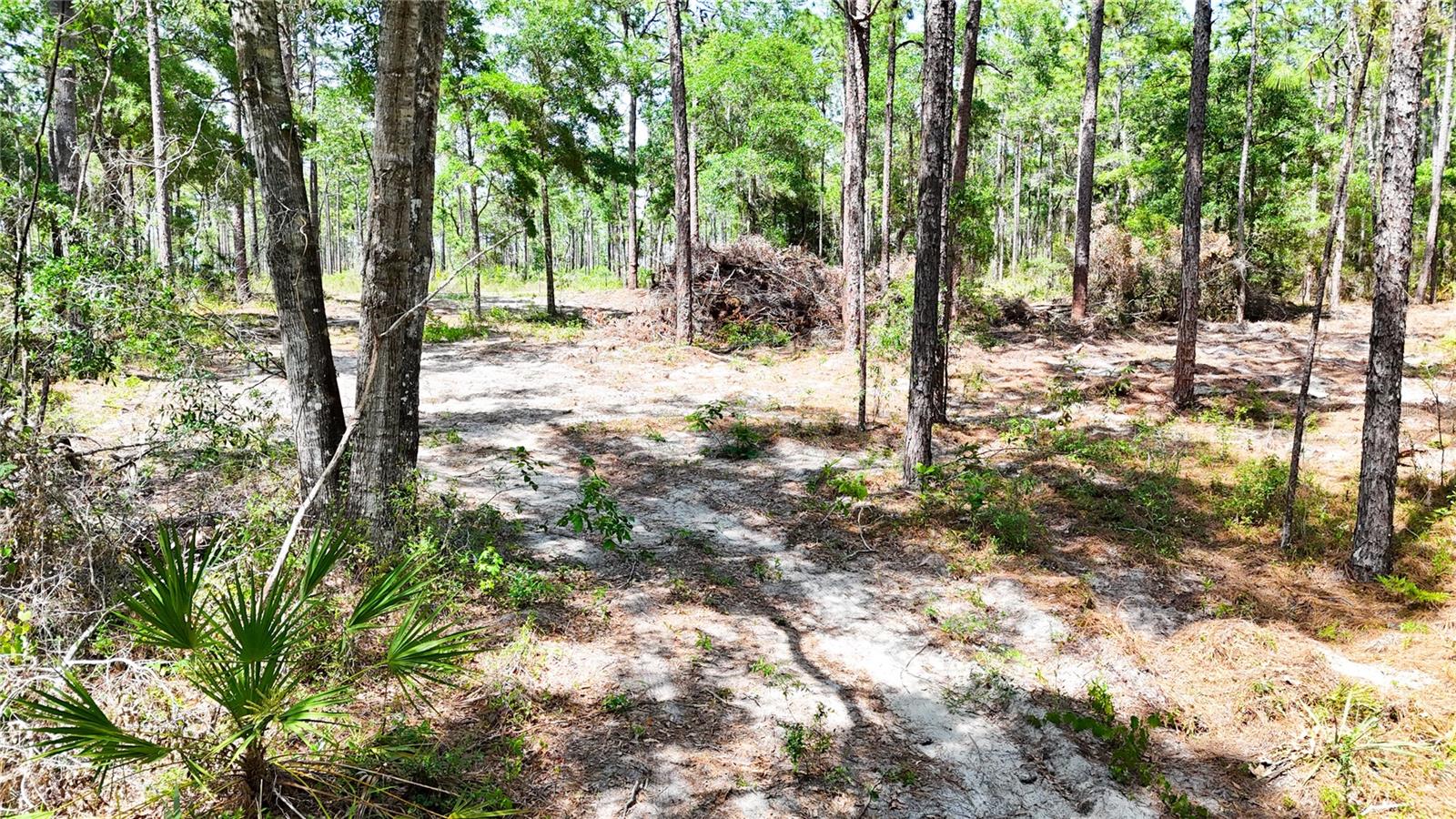 0 Windhaven Ln Property Photo 16