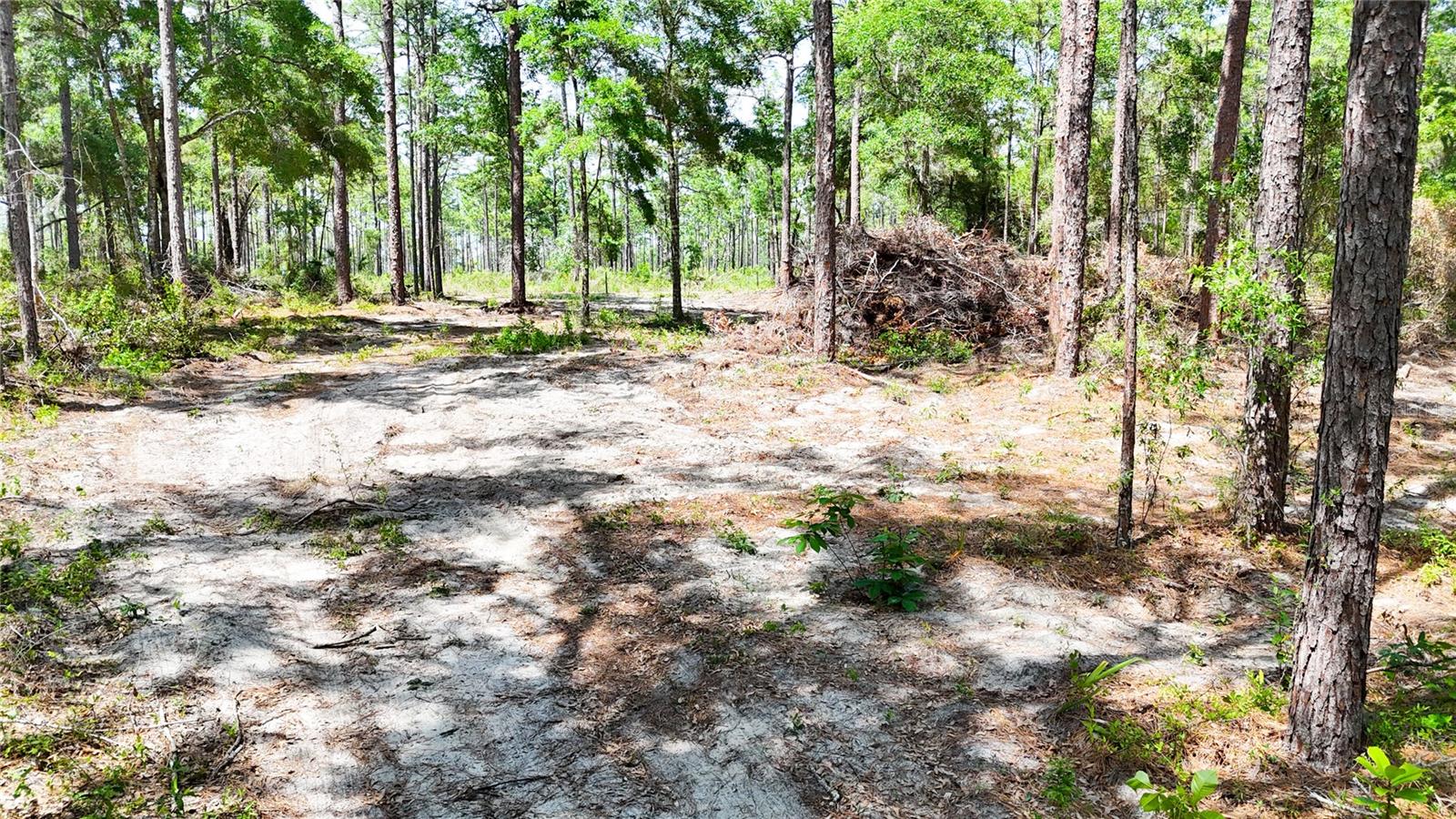 0 Windhaven Ln Property Photo 17