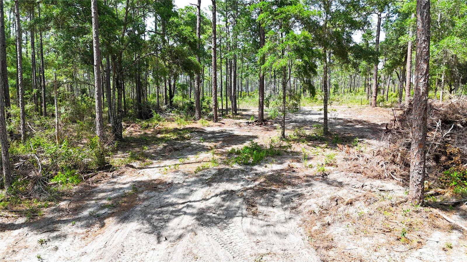 0 Windhaven Ln Property Photo 18