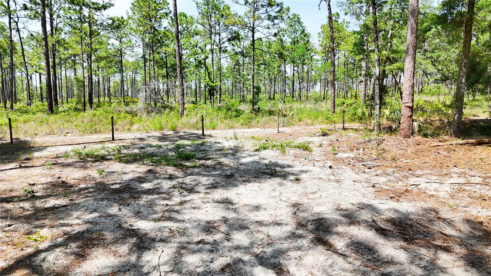 0 Windhaven Ln Property Photo 20