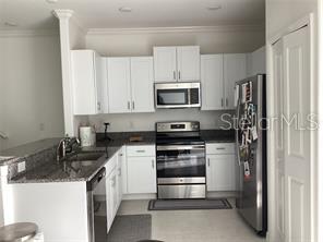 17522 Nectar Flume Dr Property Photo 2