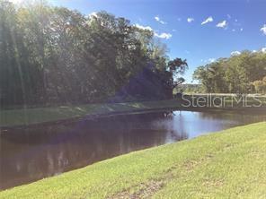 17522 Nectar Flume Dr Property Photo 12