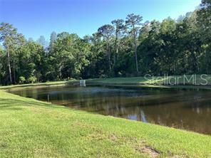 17522 Nectar Flume Dr Property Photo 13