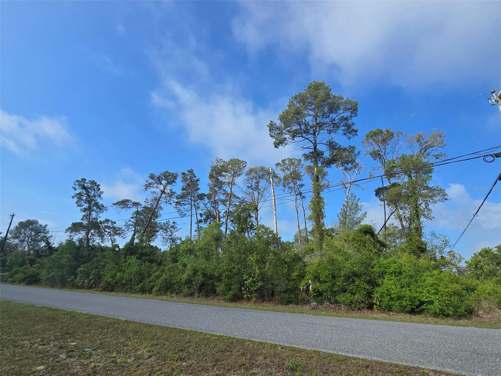 10044 Noddy Tern Rd Property Photo 3