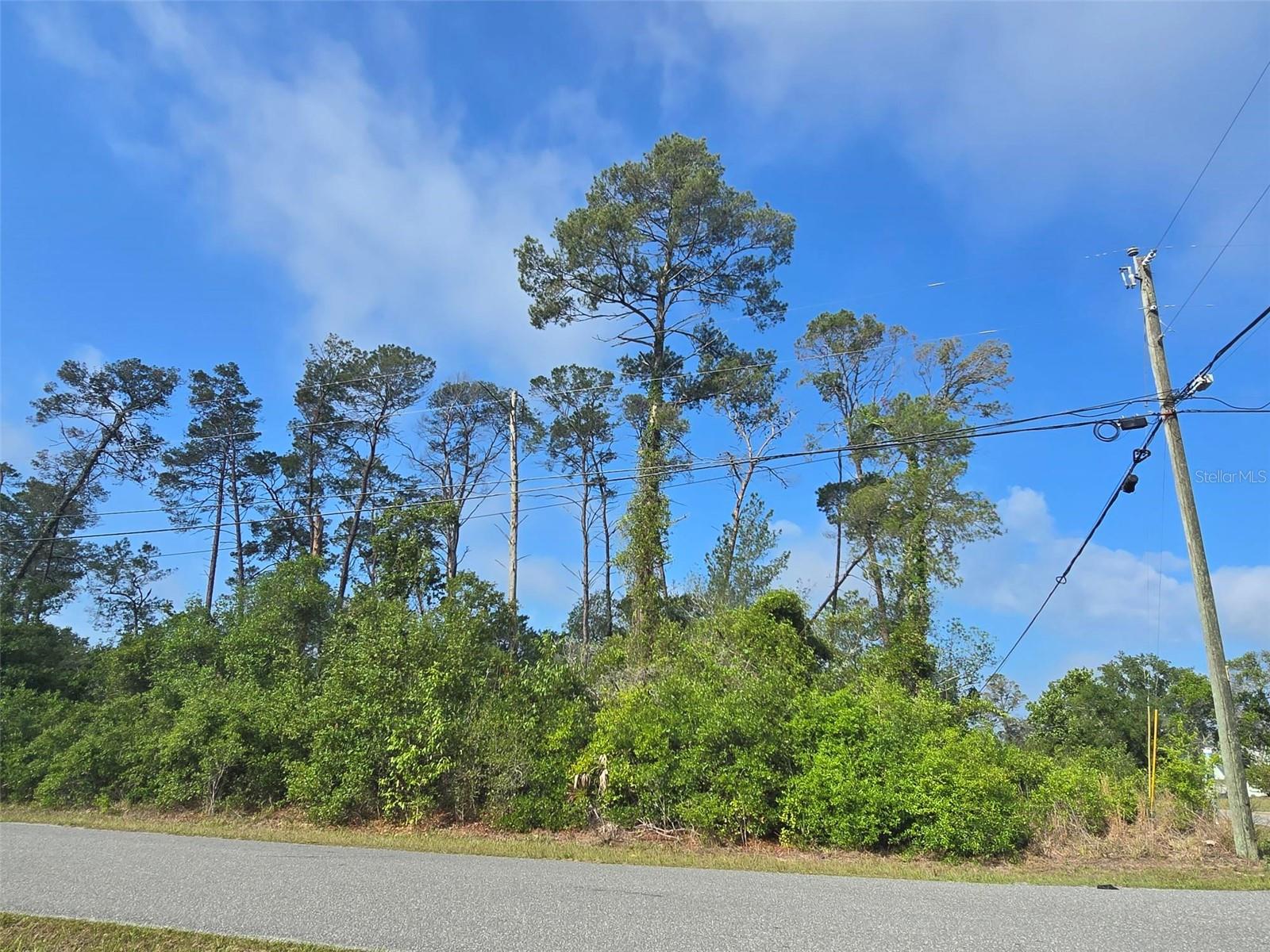 10044 Noddy Tern Rd Property Photo 4
