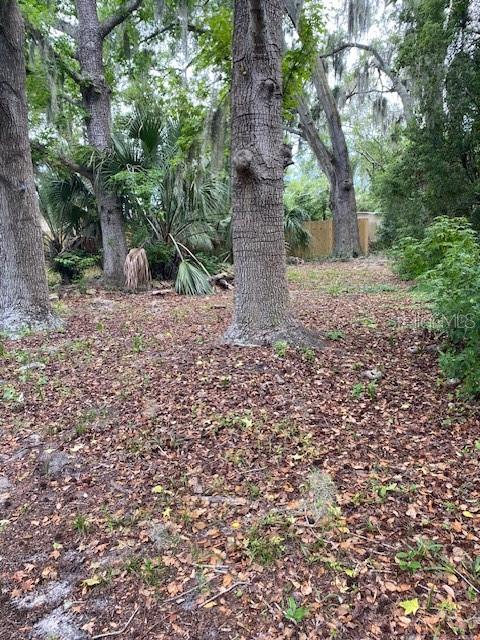 6442 Treehaven Dr Property Photo 21