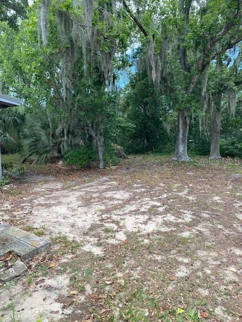 6442 Treehaven Dr Property Photo 23