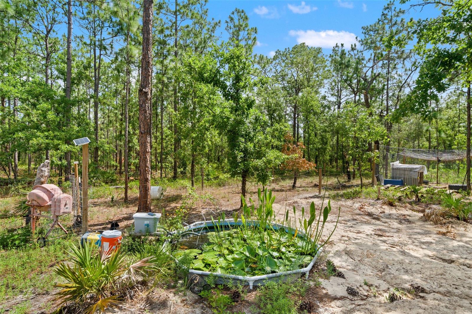 18336 Macek Rd Property Photo 42