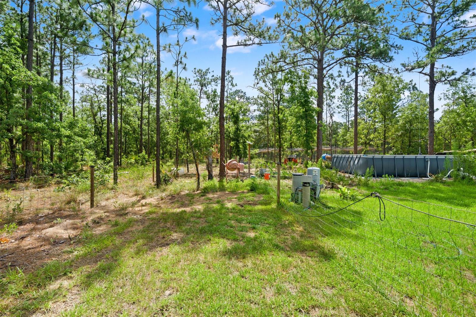 18336 Macek Rd Property Photo 45