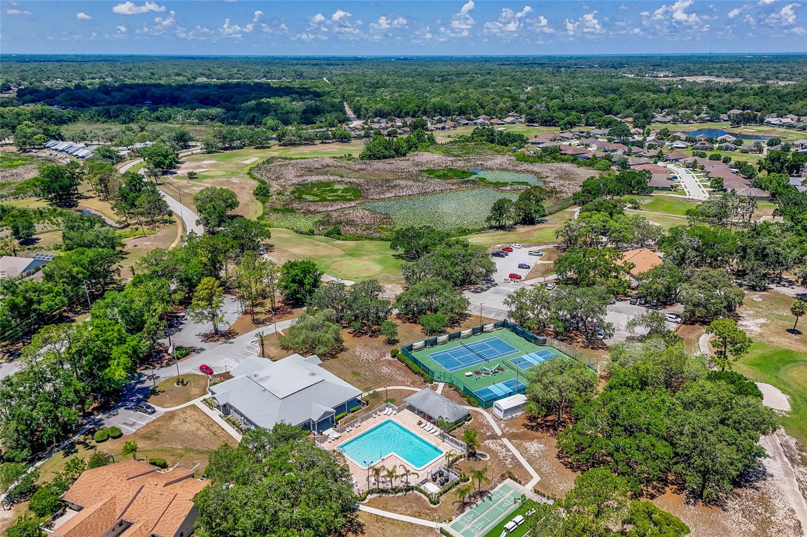 13253 Golf Ridge Pl Property Photo 51