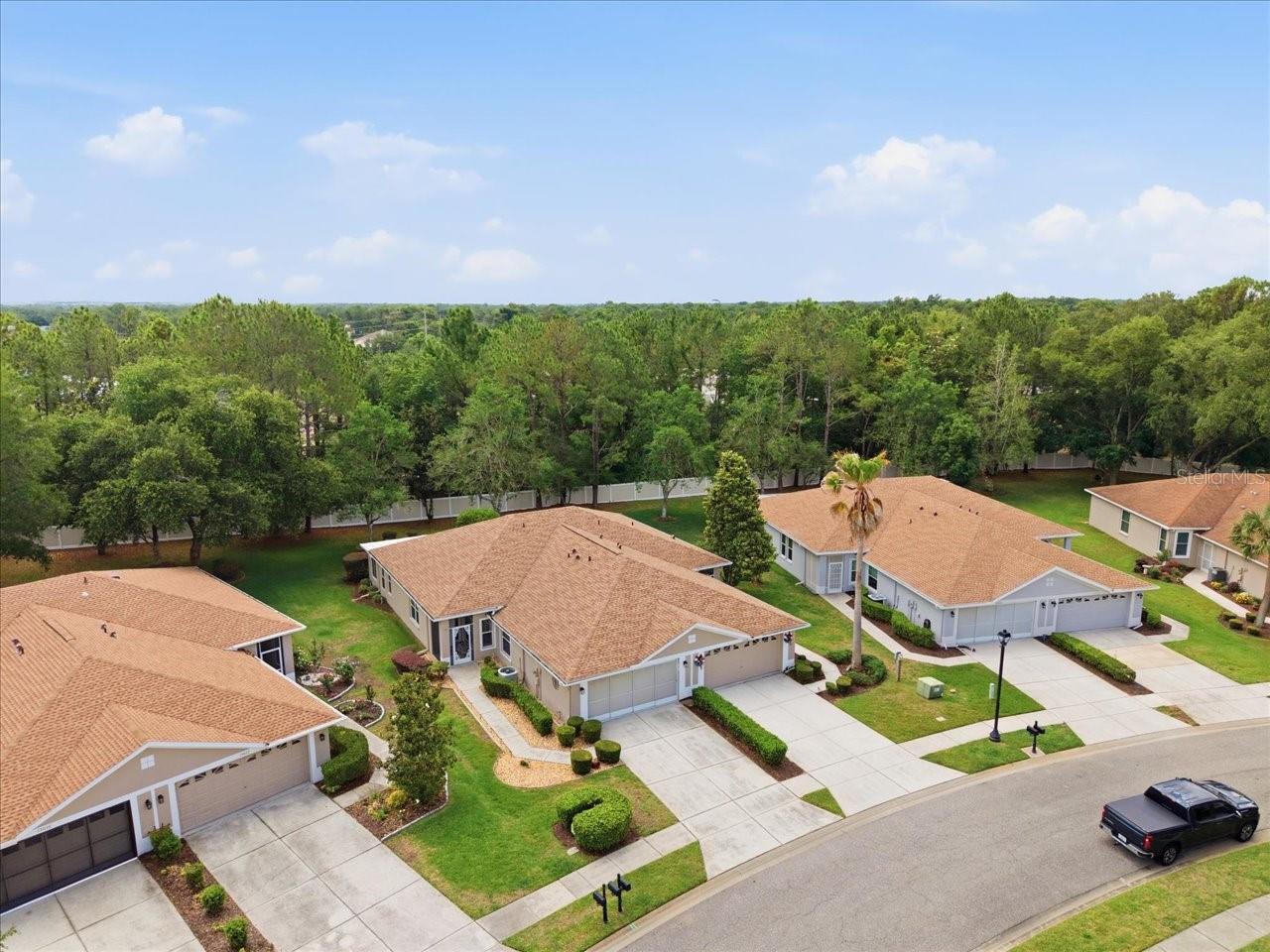 15028 Silversmith Cir Property Photo 47