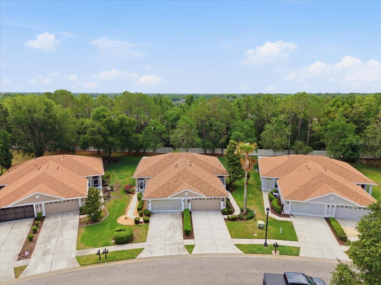 15028 Silversmith Cir Property Photo 48